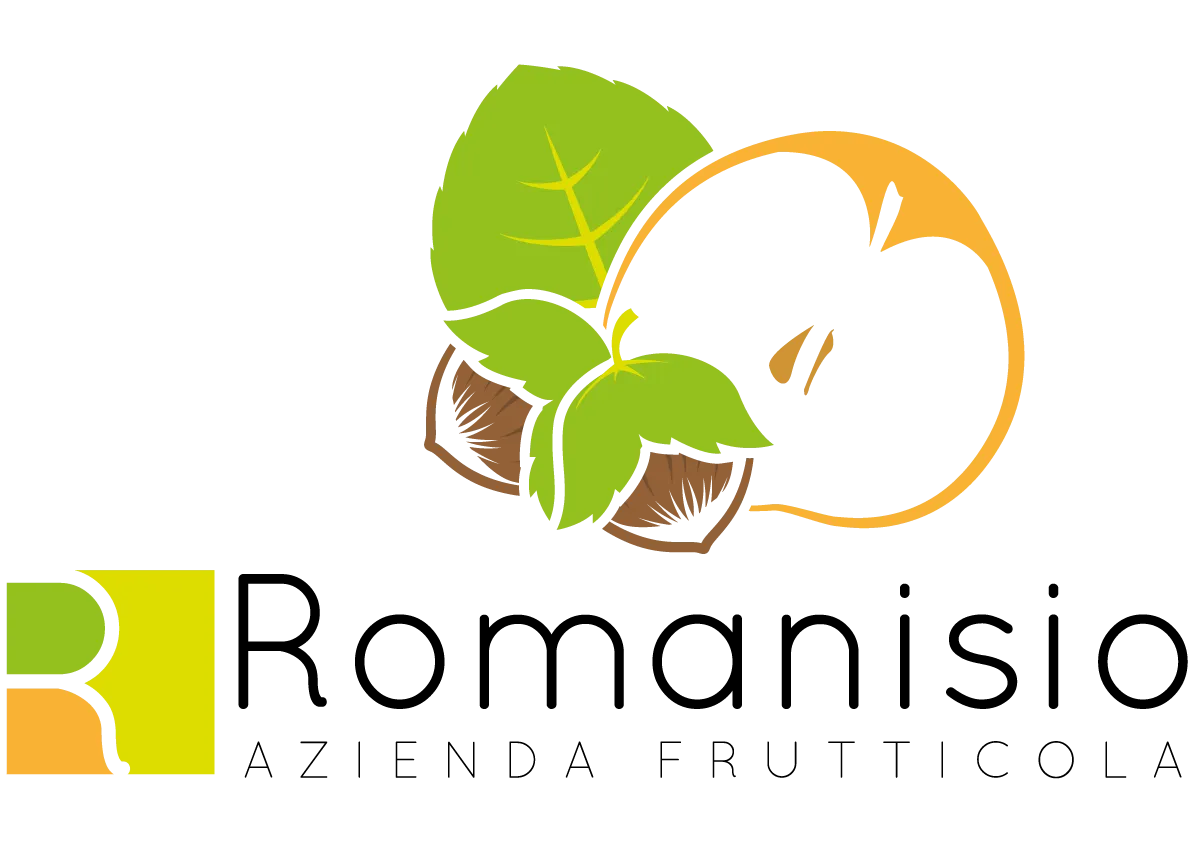 Romanisio logo footer