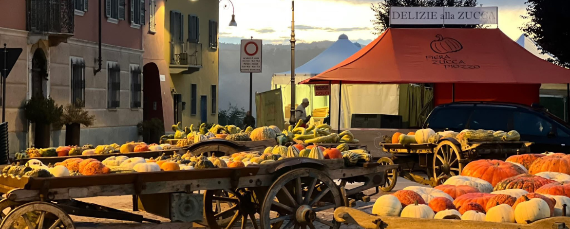 Fiera della Zucca a Piozzo