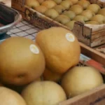 fiera della zucca piozzo 2026