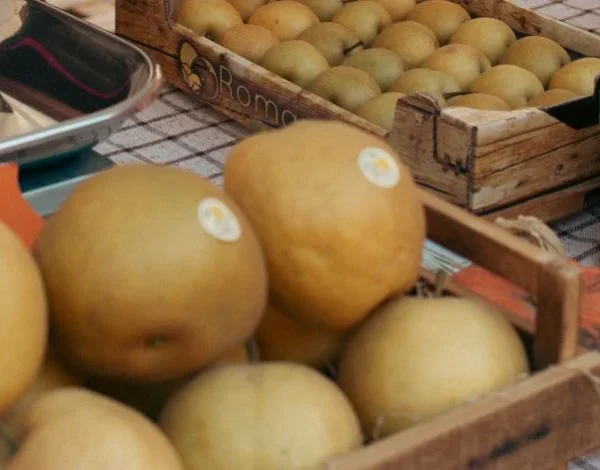 fiera della zucca piozzo fiera della zucca piozzo 2026