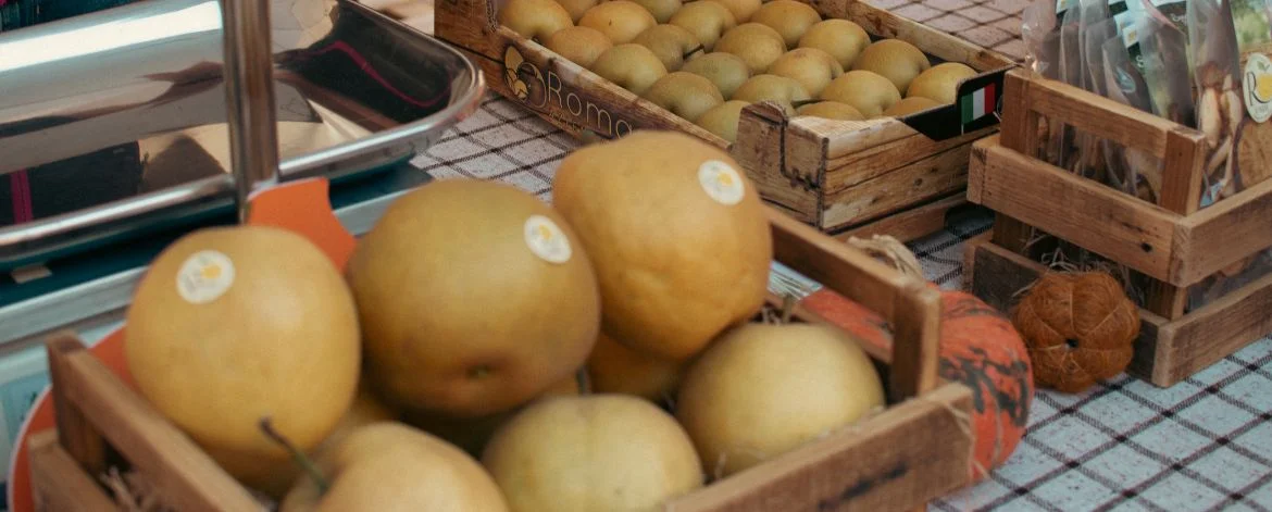 fiera della zucca piozzo 2026